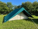 Tortuga Lambro 2